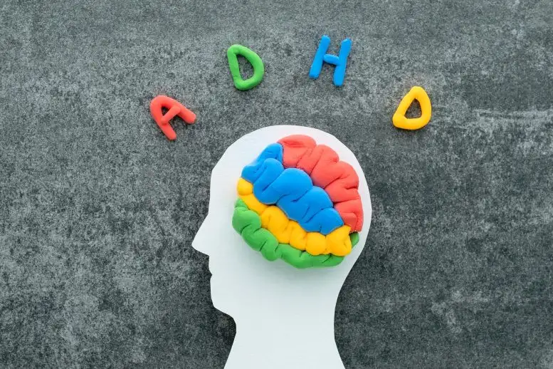 تشخیص اشتباه میلیون ها نفر: آیا علم ADHD گمراه کننده است؟ تشخیص اشتباه میلیون ها نفر: آیا علم ADHD گمراه کننده است؟