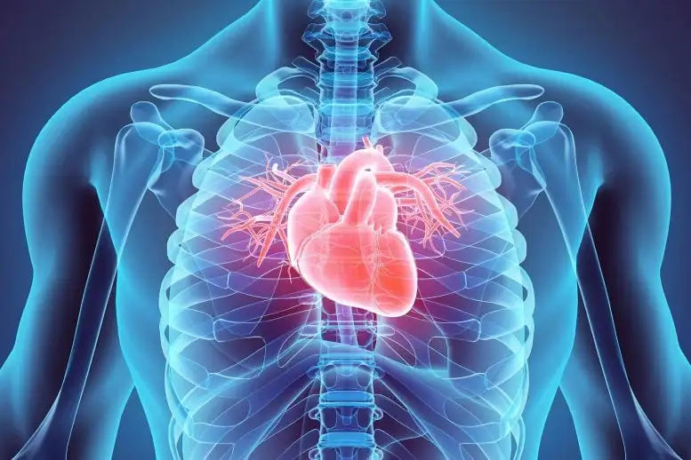 آیا سدیم بی گناه است؟ قلب شما در خطر!