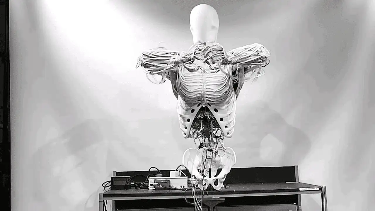 ربات‌های عضلانی ۳۰ برابر سریع‌تر با الهام از تاندون‌های طبیعی 🚀🤖