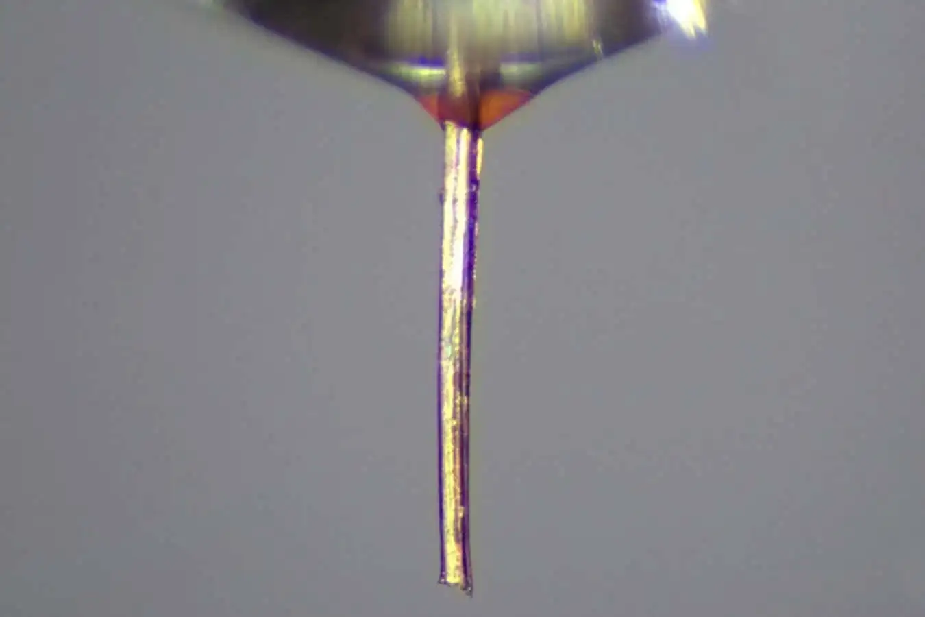 الهام از پشه‌ها: انقلاب در پرینت سه‌بعدی با دقت میکروسکوپی