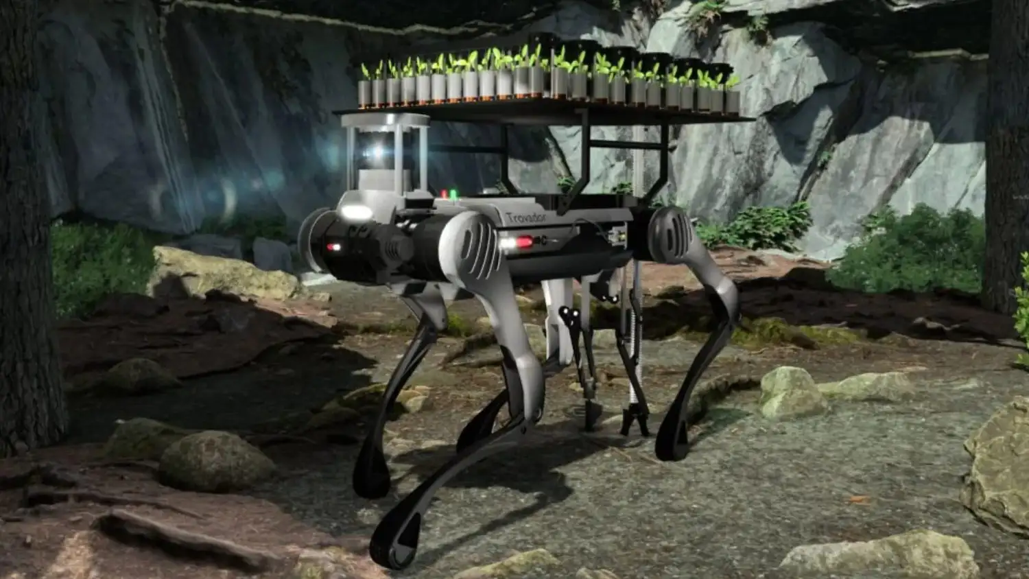 ربات عنکبوتی نوجوانان پرتغالی: ناجی نوین جنگل‌های سوخته و امید به آینده‌ای سبز