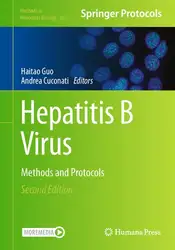 دانلود کتاب Hepatitis B Virus: Methods and Protocols (Methods in Molecular Biology, 2837)