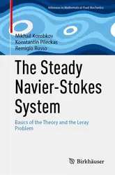 The Steady Navier-Stokes... image