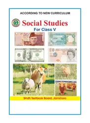 Social Studies (Class... image