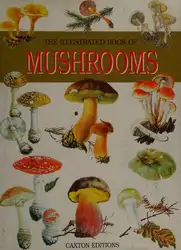 The illustrated book... image