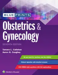 Blueprints Obstetrics &... image