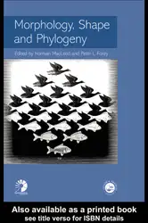 Morphology, shape and... image