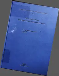 The Lie Became... image