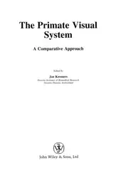 The Primate Visual... image