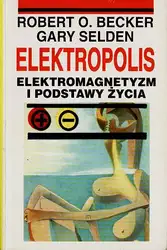 Elektropolis - elektromagnetyzm... image