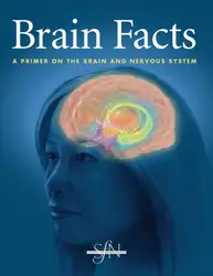 Brain facts, a... image