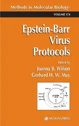 Epstein-Barr Virus Protocols image