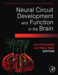 Neural Circuit Development... image