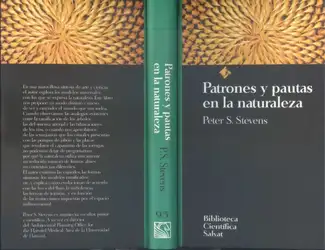 Patrones y Pautas... image