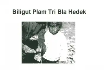 Biligut Plam Tri... image
