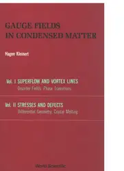 Gauge Fields in... image