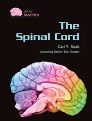 The Spinal Cord... image