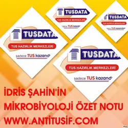 Mikrobiyoloji Özet Notu image