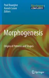 Morphogenesis: Origins of... image