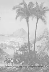 Dois Anos no... image