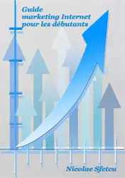دانلود کتاب Guide marketing Internet pour les debutants