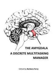 The Amygdala -... image
