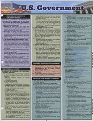 US Government Quickstudy... image