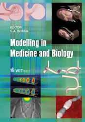 Modelling in Medicine... image