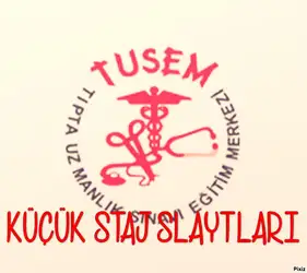 Küçük Staj Slaytları image
