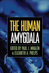 The Human Amygdala image