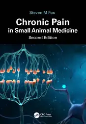 Chronic Pain in... image