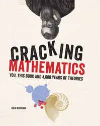 دانلود کتاب Cracking Mathematics: You, this book and 4,000 years of theories