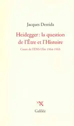 Heidegger: la question... image