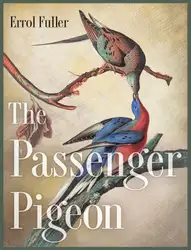 The Passenger Pigeon image
