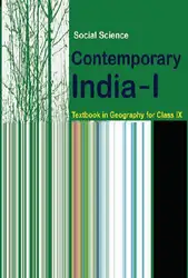 Contemporary India I image