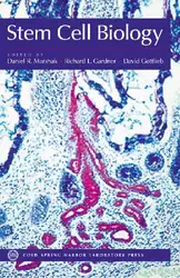 Stem Cell Biology image