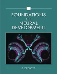 Foundations of Neural... image