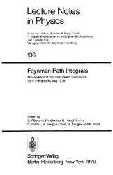 Feynman Path Integrals image
