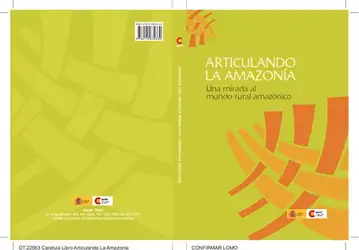 Articulando la Amazonía.... image