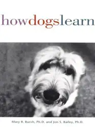 How Dogs Learn image