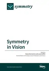 Symmetry in Vision image