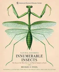 Innumerable Insects: The... image