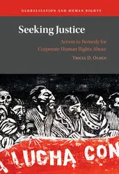 Seeking Justice: Access... image