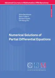 Numerical Solutions of... image