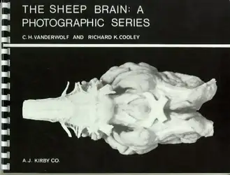 The Sheep Brain:... image