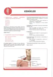 SORU KİTABI SERİSİ... image