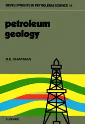 Petroleum Geology image