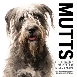 MUTTS image