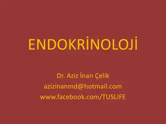 Dahiliye Slaytları image