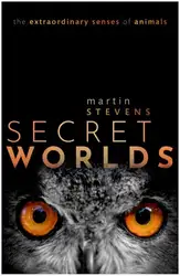 Secret Worlds: The... image